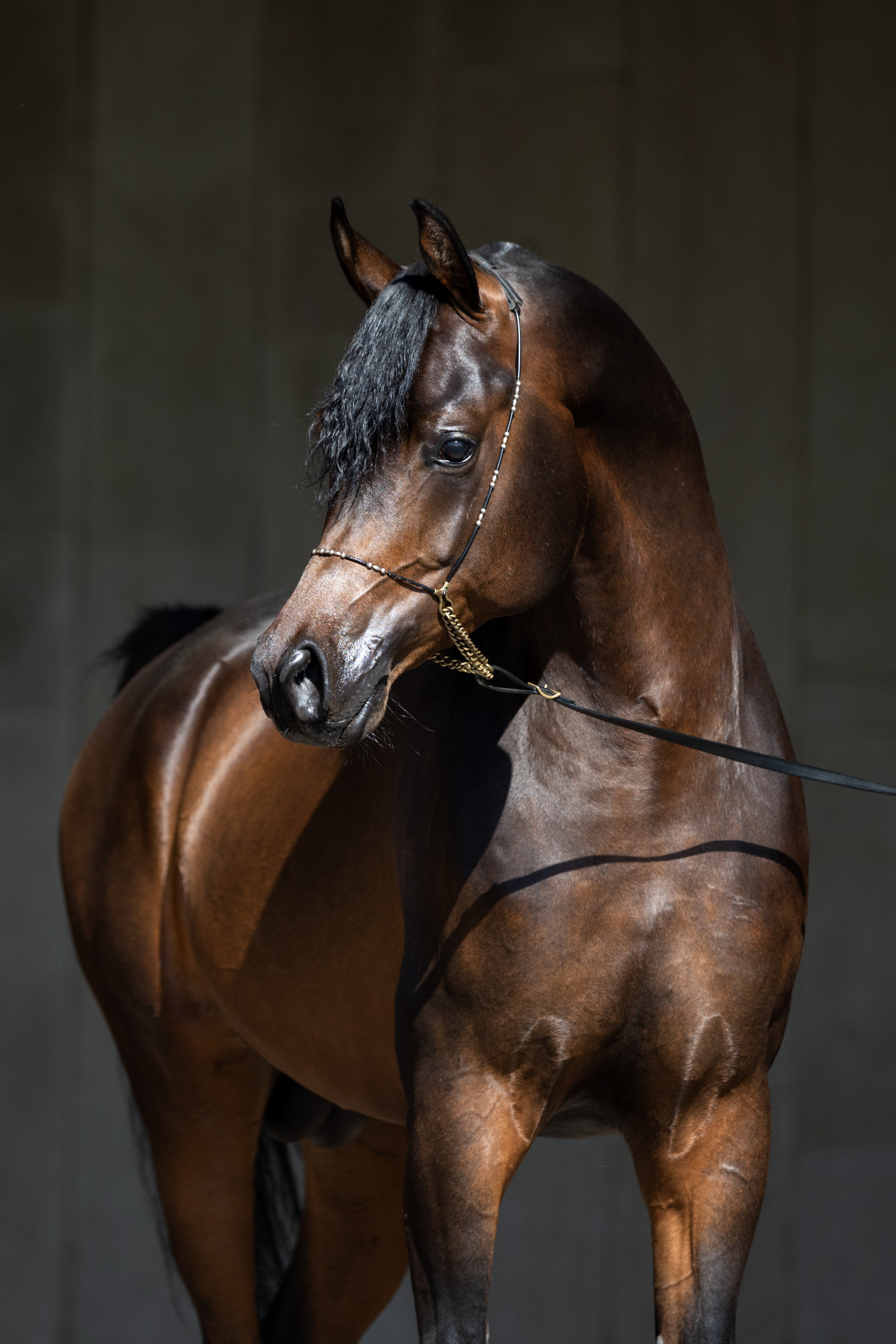 Мин Херц Терск